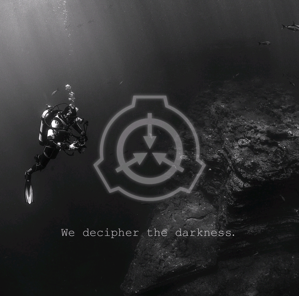 50db15713c379d572acc81fda8ee94c8