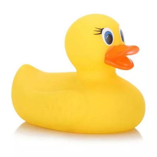 20231216222101337-鸭子