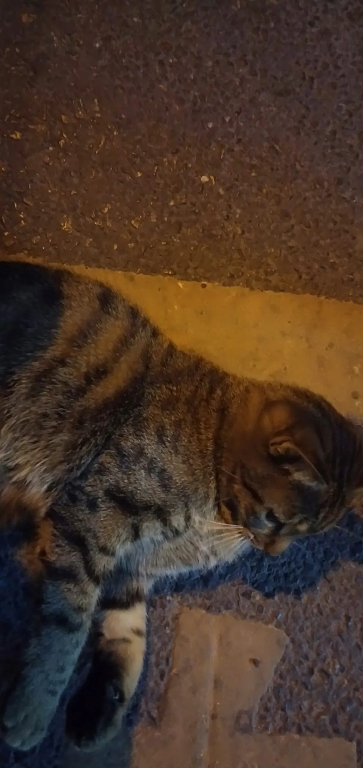 20240110044644360-IMG20231226220013