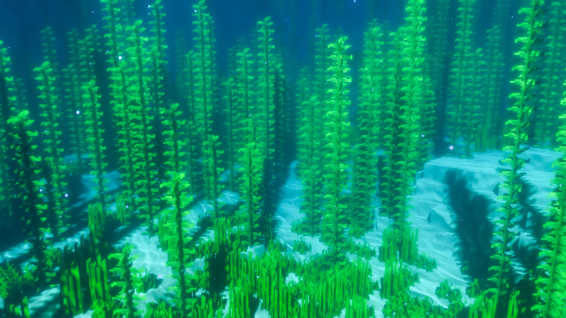 20240219233249744-登录背景图 (4)