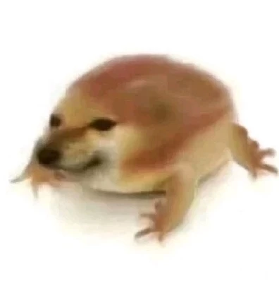 20240430202548176-cbfbaf79899c8413d56a2e96af63325a