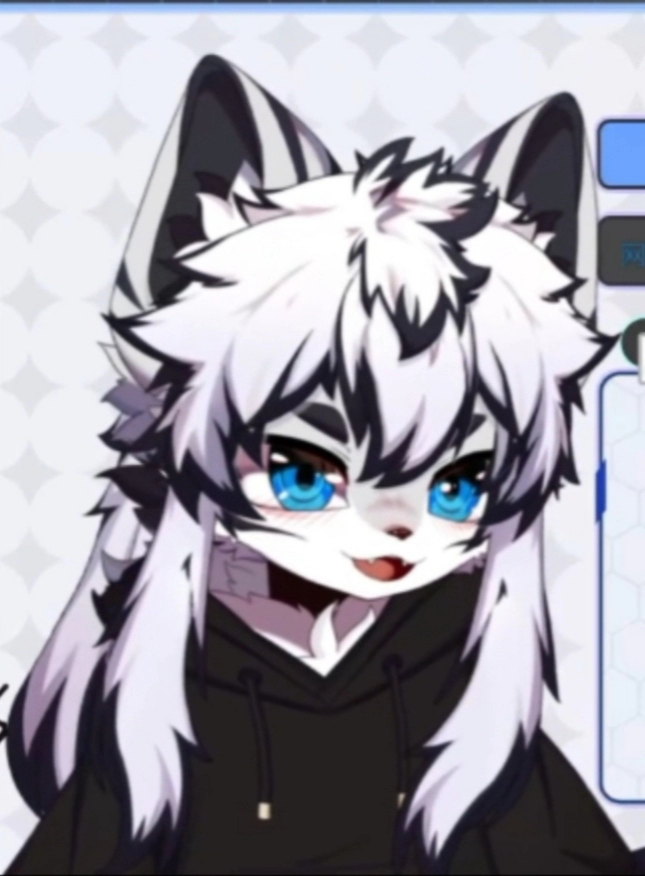 20240523213104692-IMG_20240523_211849