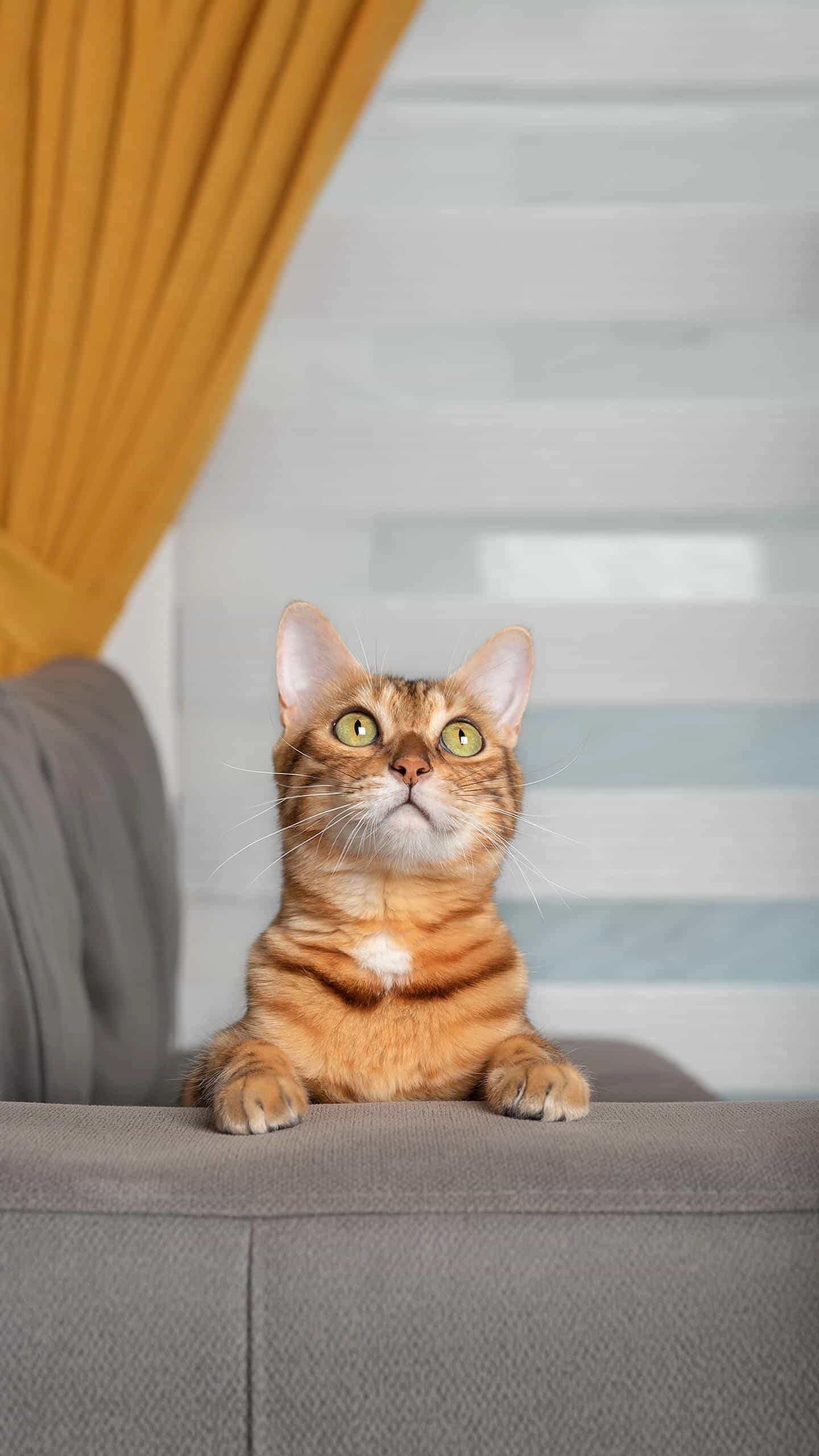 20240716182402971-magazine-unlock-05-2.3.2024071601-ABCAF5FB2DF1877417266C28A8AD1872