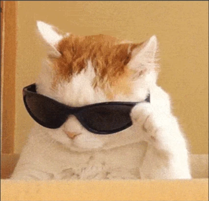 20240925104428467-皮蛋