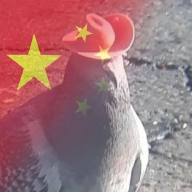 20241209204749708-b_b803c19da646fc0393921daa70cc8595