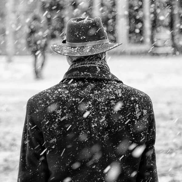 20250122123725134-53164fdf-4bcb-4394-9979-e68aef1e5f25