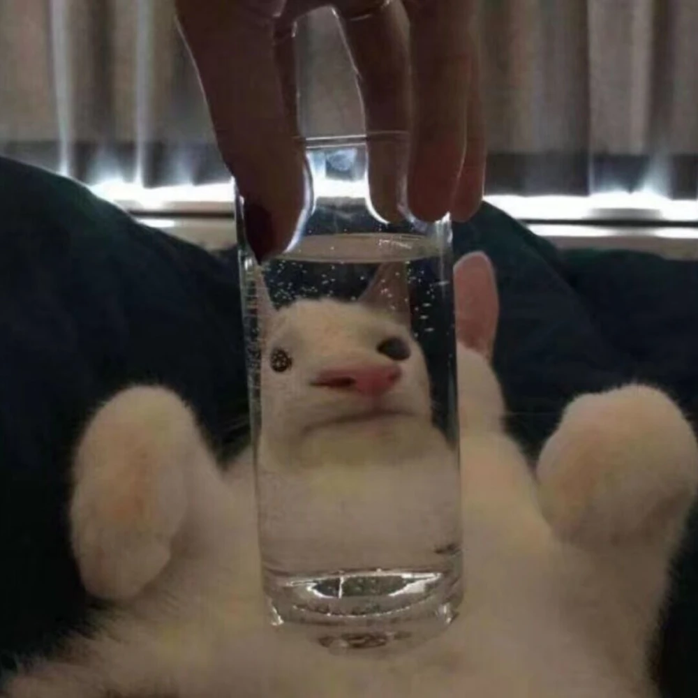 20250222170210673-Cache_-2666f2d2fdb2c3b0