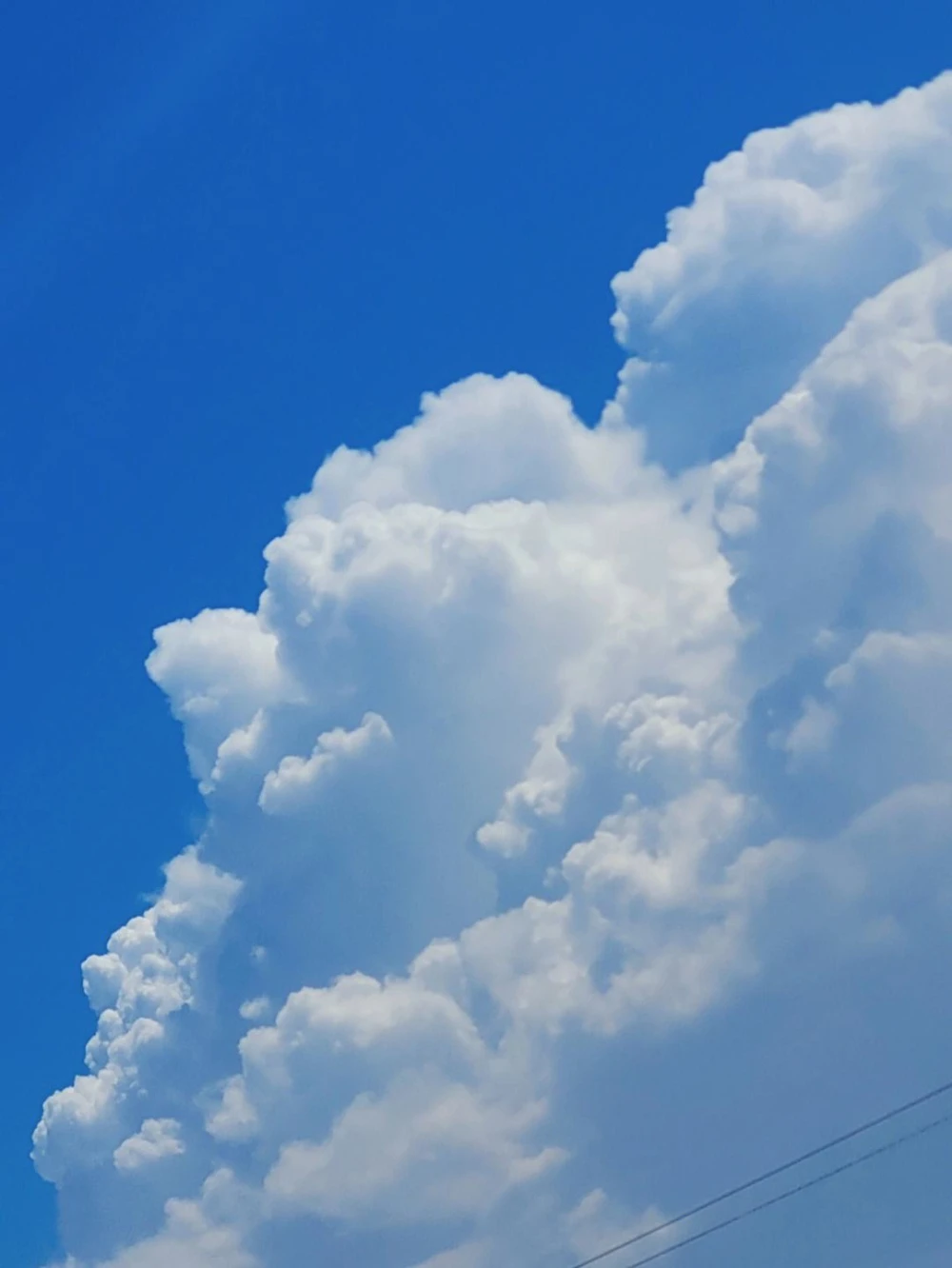 20250316073334934-1742081594007