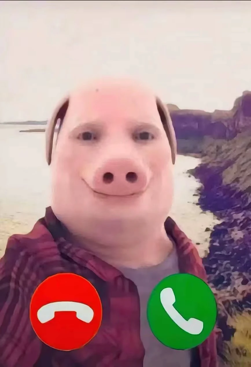 20250827155043303-b90b36b5513120626ef5649b4197c017