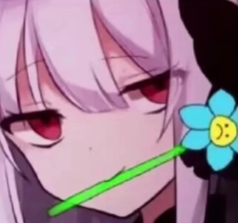 shikou1145的头像-【TITAIKE】T太科网