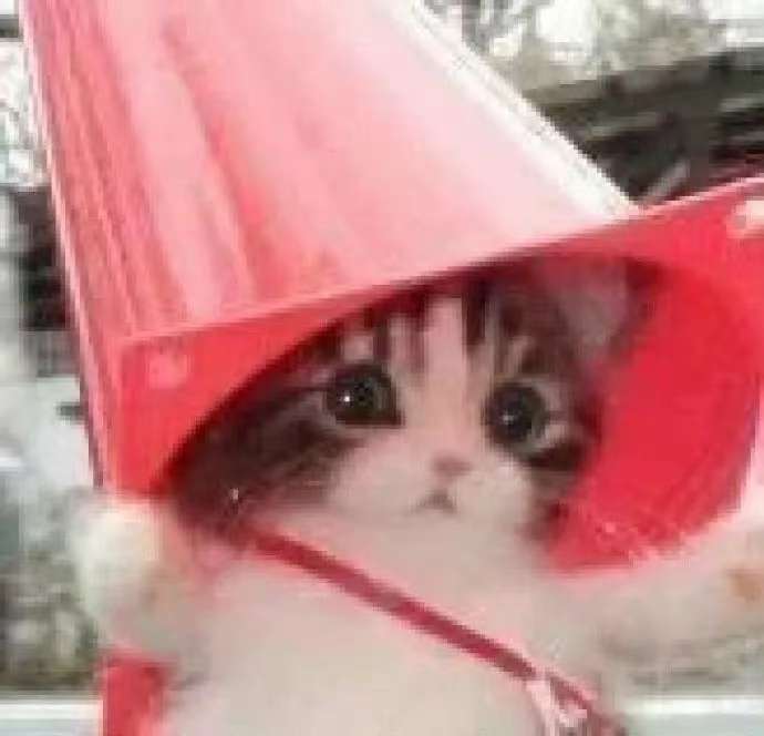 123456jj的头像-【TITAIKE】T太科网