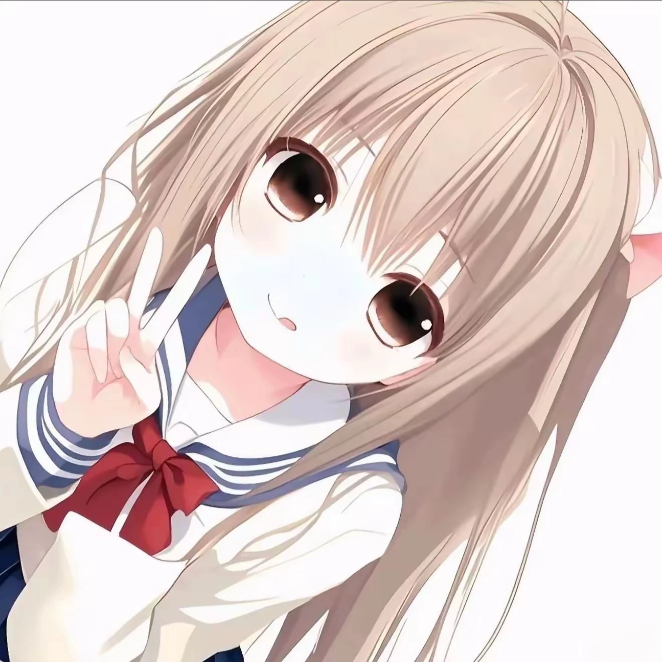 Sdivcn的头像-【TITAIKE】T太科网